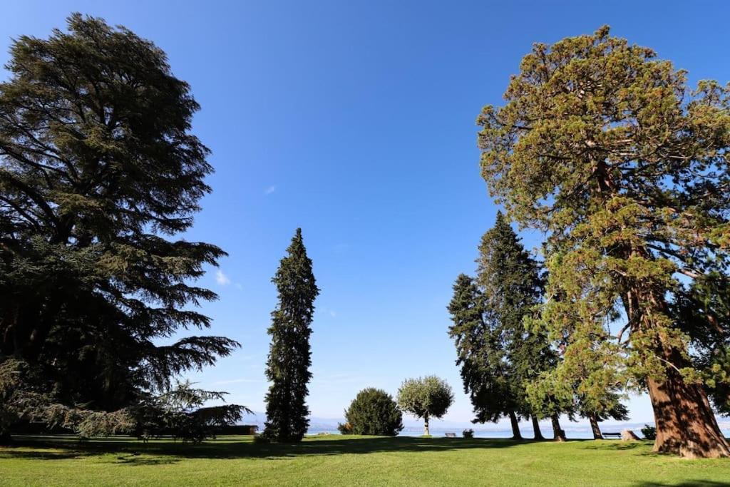 Apartamento L'Escale Du Leman Publier Exterior foto