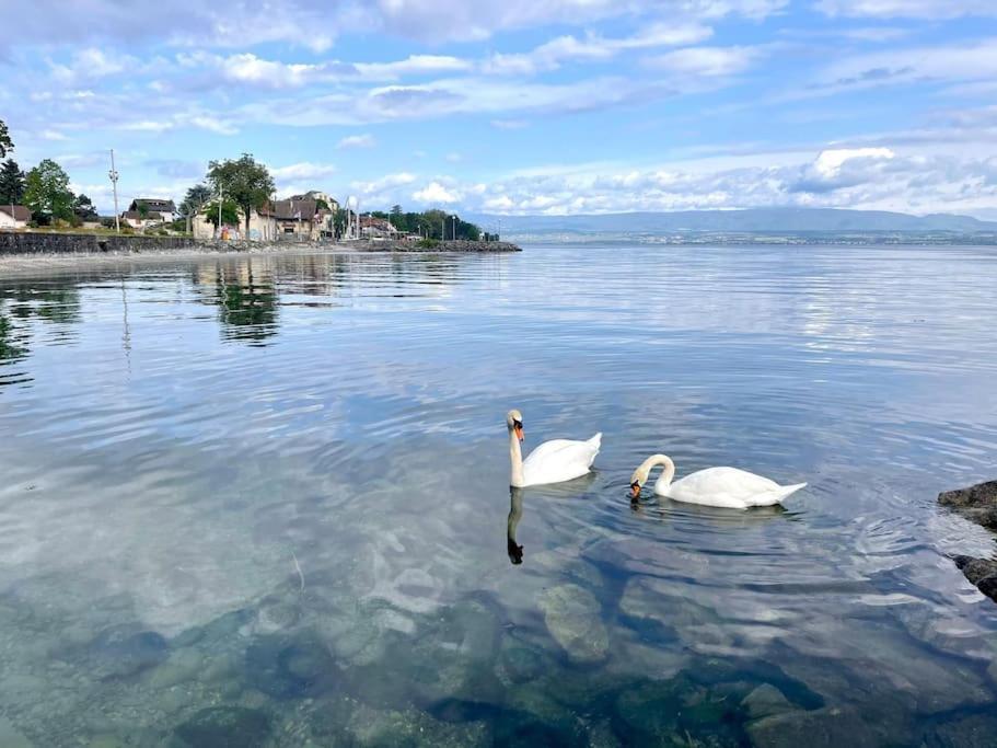 Apartamento L'Escale Du Leman Publier Exterior foto